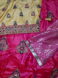 Pink Embellished Lehenga Skirt ✨
