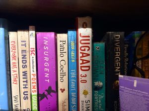 Collection of Popular Fiction Books