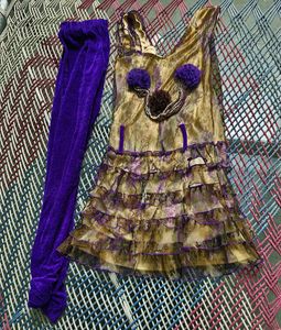 Girls Ethnic Golden & Purple Ruffled Dress