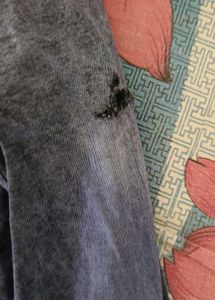 Stylish Washed Denim Shirt with Zippers