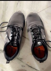 Shoe