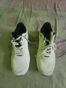Red Tape Sneakers
