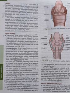 BD Chaurasia Human Anatomy Book vol  4
