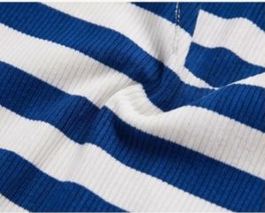 Blue &amp; White Striped Cropped Top