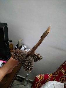 Christmas Tree Pine Cone