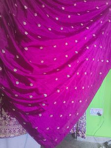 Beautiful Embroidered Lehenga Choli