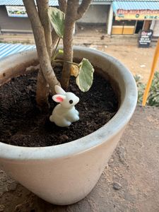 Set Of 6 Rabbit Miniature
