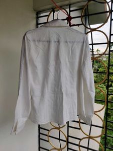 Classic White Shirt