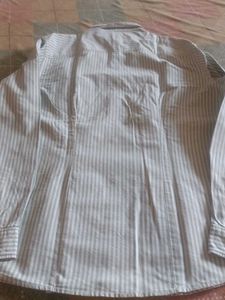 Striped Button-Down Shirt