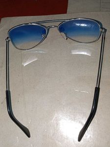 Sun Glasses