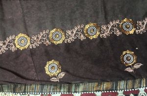 Elegant Brown Saree Blouse