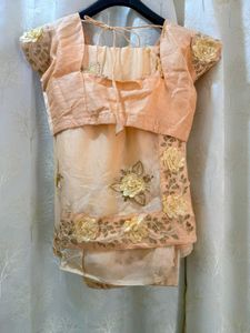 Floral Peach Embroidered Saree