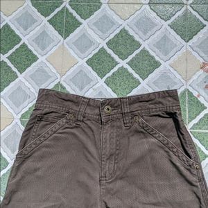 Carpenter Jorts