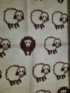 💜OFFER Only 2Days 800Rs. 💜 Kid's Blanket