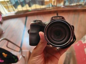 Sony Digital Camera DSC H200
