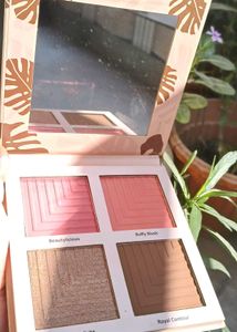Matt Look Tone &amp; Glaze Palette