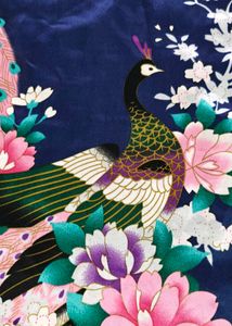 Kimono Robe