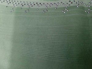 Elegant Pastel Green Embellished Saree