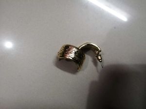 Gold Tone Hoop Earrings Collection