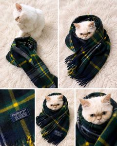 Burberrys Plaid Wool Scarf