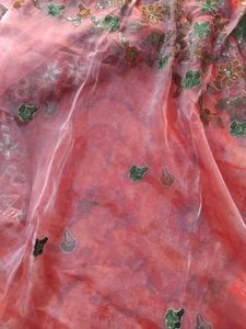 Organza Saree