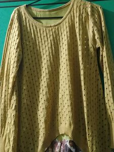 Pre Winter Top With Net In Bottom
