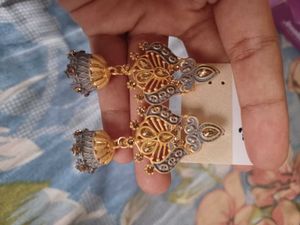 2 Beautiful Earrings