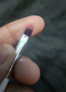 Lip Application Brush