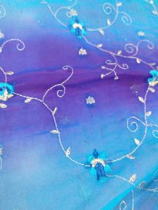 Beautiful Ombre  Saree