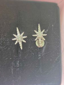 Sparkling Star Earrings SS925