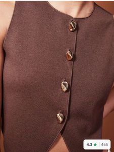 H&amp;M Chic Brown Buttoned Vest