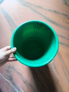 new dustbin in coins