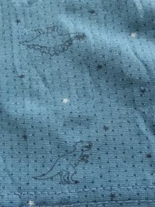 Teal Blue dinosaur Textured T-Shirt