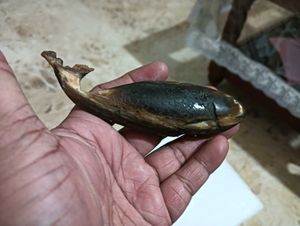 Vintage Hand Carved Wooden Fish