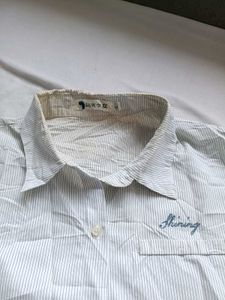 Men's Striped Short Sleeve Shirt