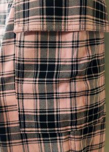 Hollister Flannel Cargos