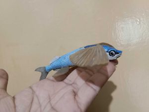 Flying Fish Toy