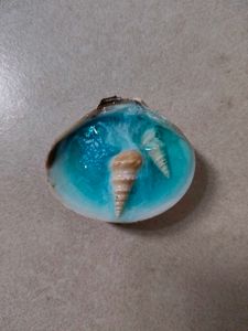 Ocean Resin Seashell Fridge Magnet