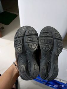 Toddler Brown Appalon Sneakers