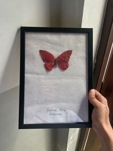Appias Nero Indonasia | Luxury Wall Decor