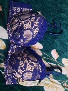 Elegant Blue Lace Bra