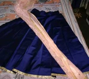 Stunning Blue Lehenga Choli Set