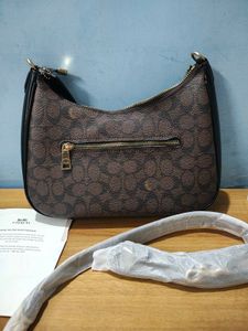 Coach Teri Signature Hobo Bag