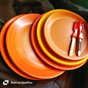 9 Vibrant Melamine Dinner Plates
