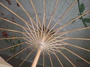 Decorative Black Parasol