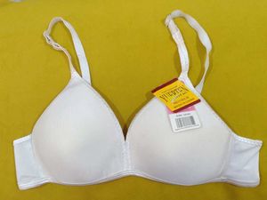 1001 -- clearance sale soft pad Saree blouse wear