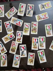 Vintage Animal Trading Cards Collection