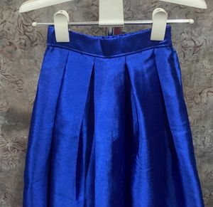 Brand New Party Skirt Runway style