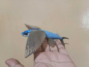 Flying Fish Toy