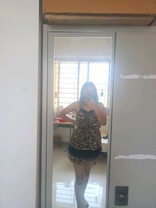 Leopard Print Mini Dress